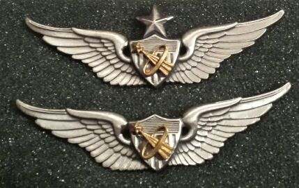 military astronaut wings