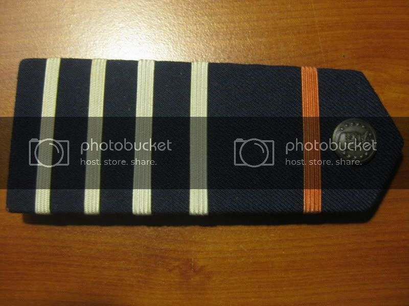 USAF 2nd Lt Shoulder Boards 1969 Wolf Brown 海外 即決-