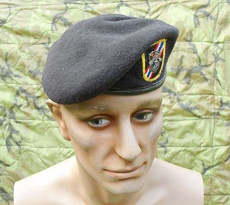 46th Special Forces Type Beret - UNIFORMS - U.S. Militaria Forum