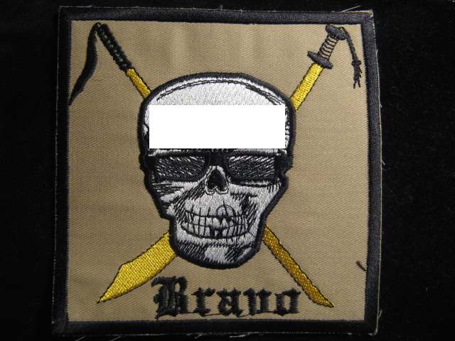 Whats THE coolest Navy SEAL modern patches ? - NAVY, COAST GUARD AND ...