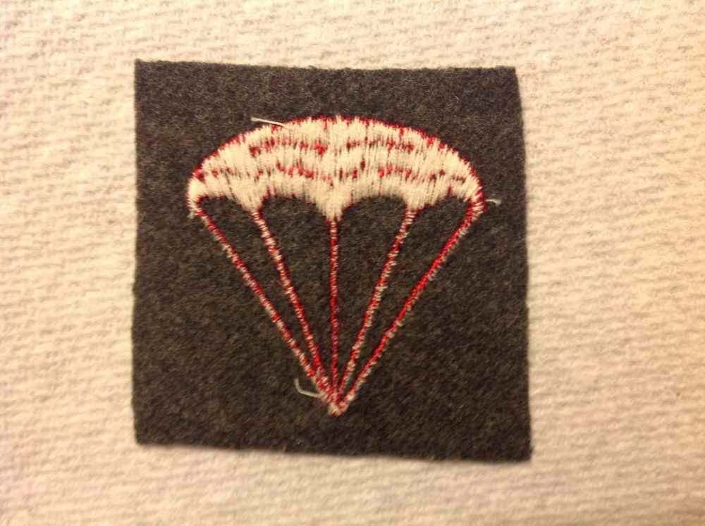 Para Marine Rigger Patch - MARINES - U.S. Militaria Forum