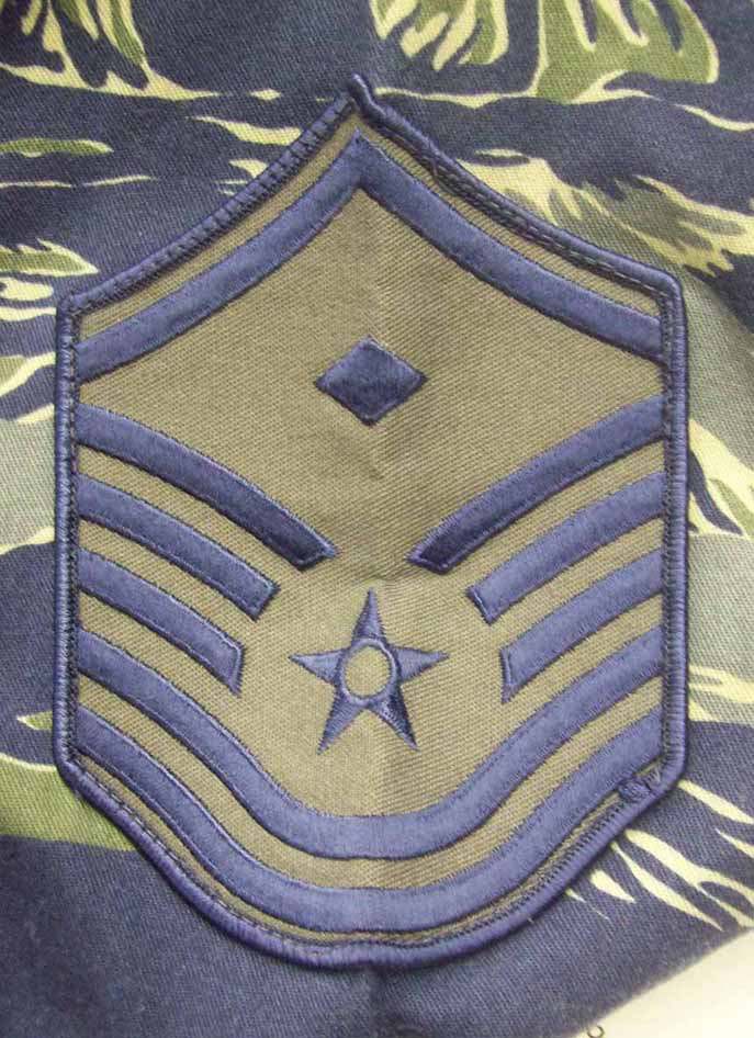 USAF Blue Tiger Stripes - CAMOUFLAGE UNIFORMS - U.S. Militaria Forum