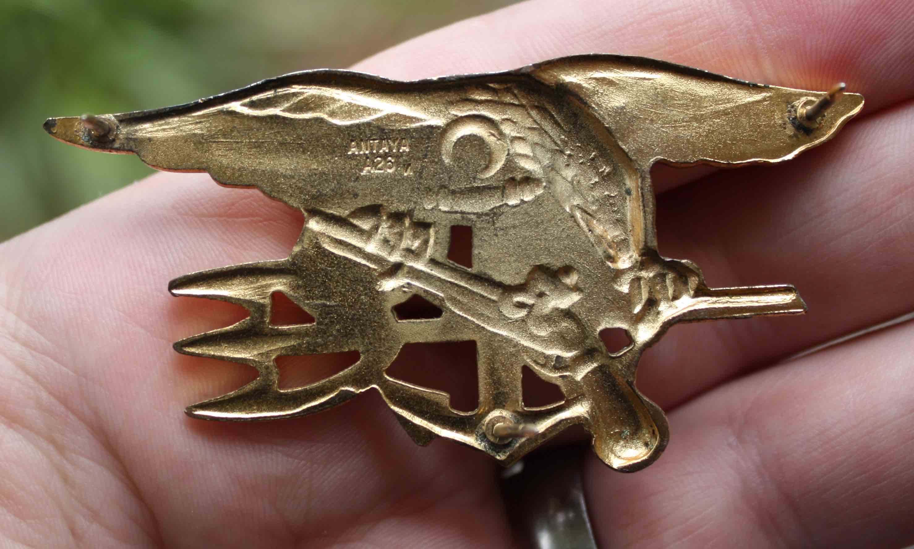 navy seal trident pin