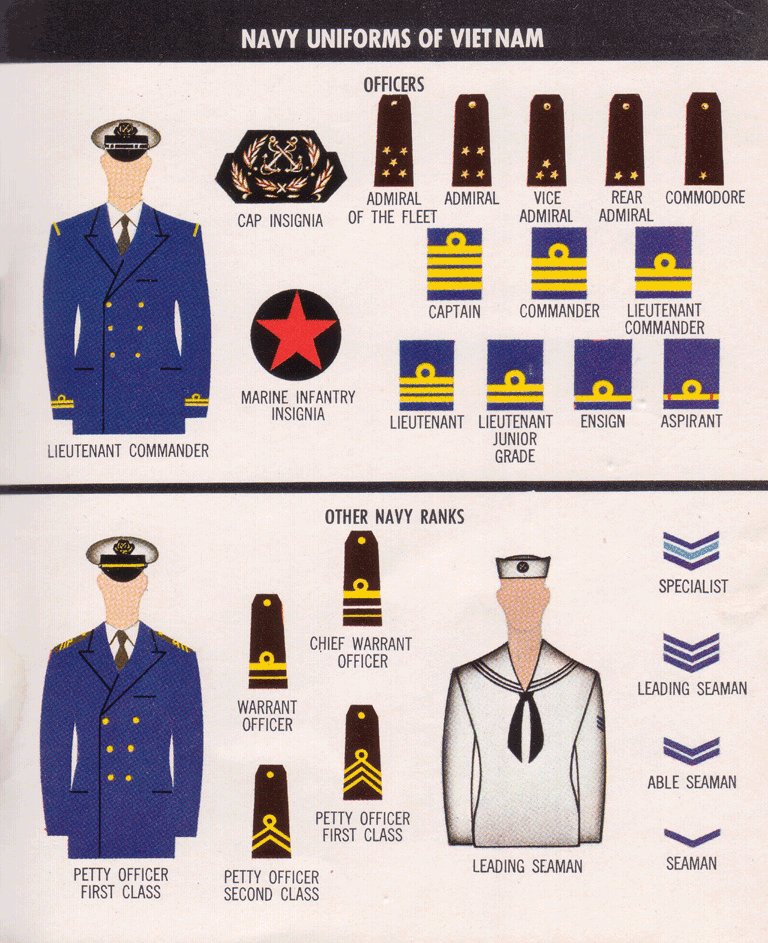 Vietnam Made Shoulder Boards - AIR FORCE (USAAF IS WITH ARMY