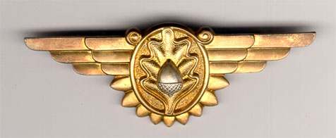 Post Your Medical Wings! - MEDICAL WING BADGES - U.S. Militaria Forum