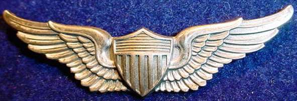 Flight wings pick up at Antique Fair - WING BADGES - U.S. Militaria Forum