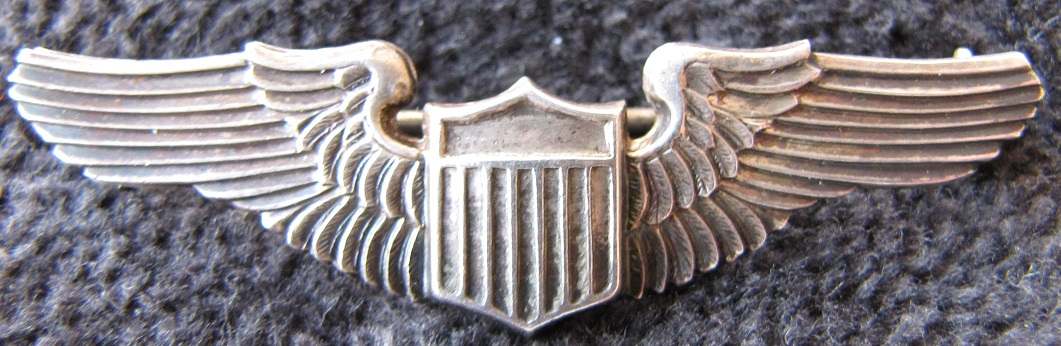 Unusual small Pilot badge designs... - WING BADGES - U.S. Militaria Forum