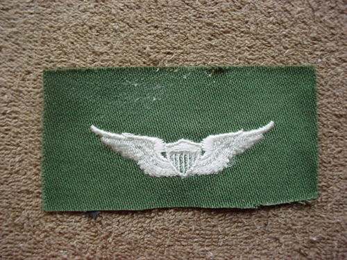 Unusual Army Aviator Wing - ARMY AND USAAF - U.S. Militaria Forum