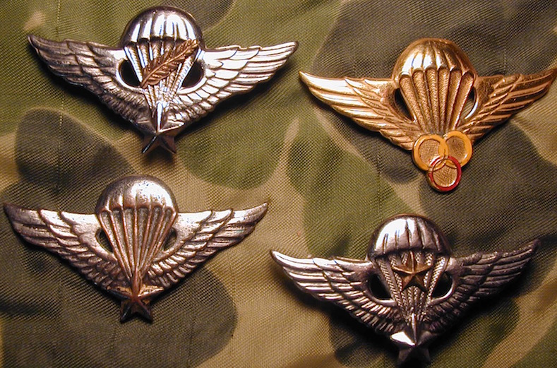 SVN Jump Wings - AIRBORNE, GLIDER TROOPS, PARATROOP JUMP WINGS AND ...