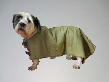 Army on sale dog sweater