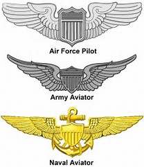 One more . . . Help with Wings in pic of Vietnam Vet - WING BADGES - U ...