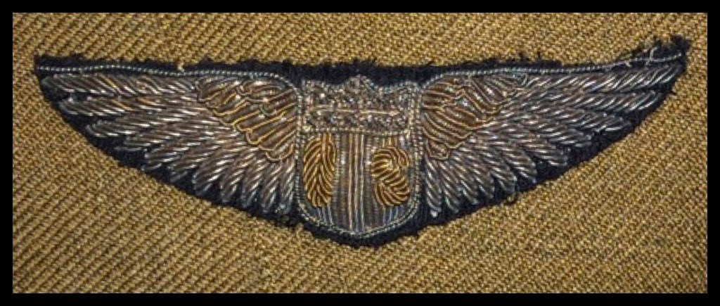 World War One Weekly Wing #40 - English Made WW1 Wing - WING BADGES - U ...