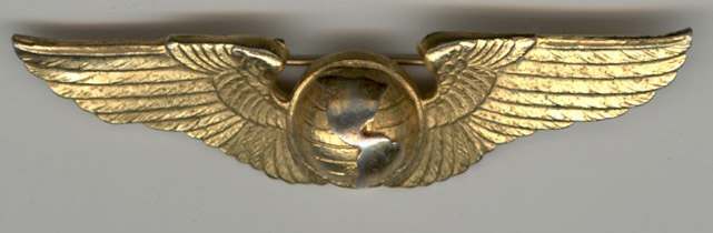 Not Familiar with Luxenberg Pattern & Hallmark - WING BADGES - U.S ...