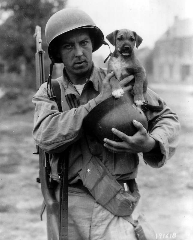 Helmets in Use - WW2 Era Armor and WW2 M1 Steel Helmet - Page 7 - M-1 ...