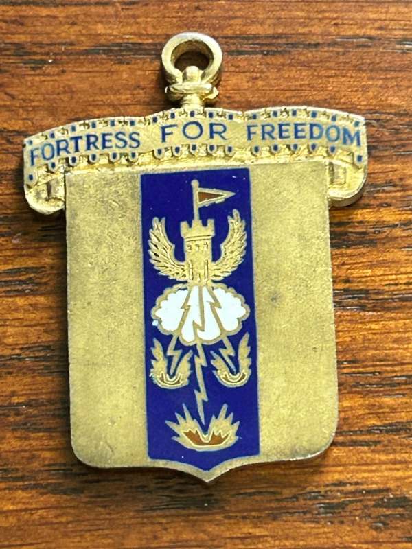 388th Bomb Group Medal - MEDALS & DECORATIONS - U.S. Militaria Forum